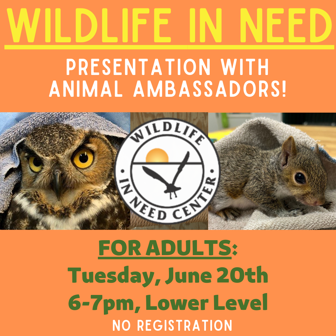 Wildlife in Need Presentation