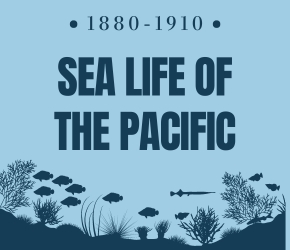 1880-1910 SEA LIFE OF THE PACIFIC